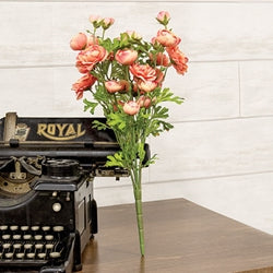 Coral Ranunculus Bush - 18"