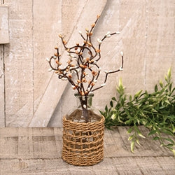 Butter Cake Pip Berry Pick 12"