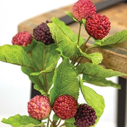 Fresh Raspberries Pick - 10.5"