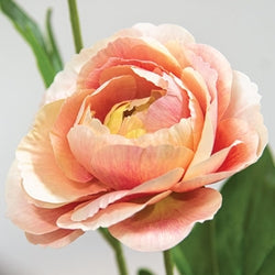 Blushing Peach Peony Spray - 23"H