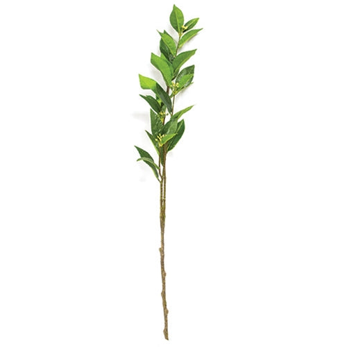 Lush Green Laurel Spray - 27.5"H
