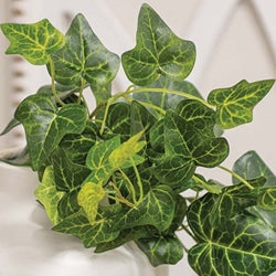 Lush Ivy Hanging Bush - 26"