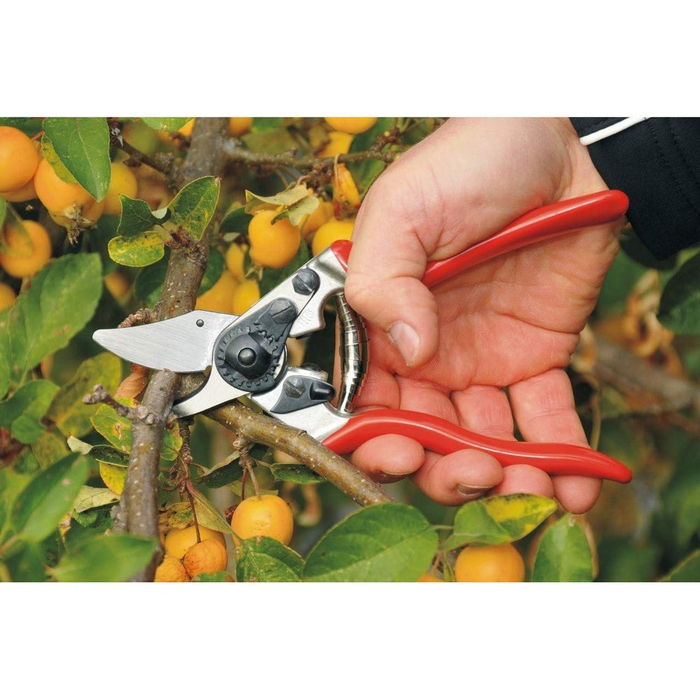 Felco 6  Ergonomic Compact Pruner F-6