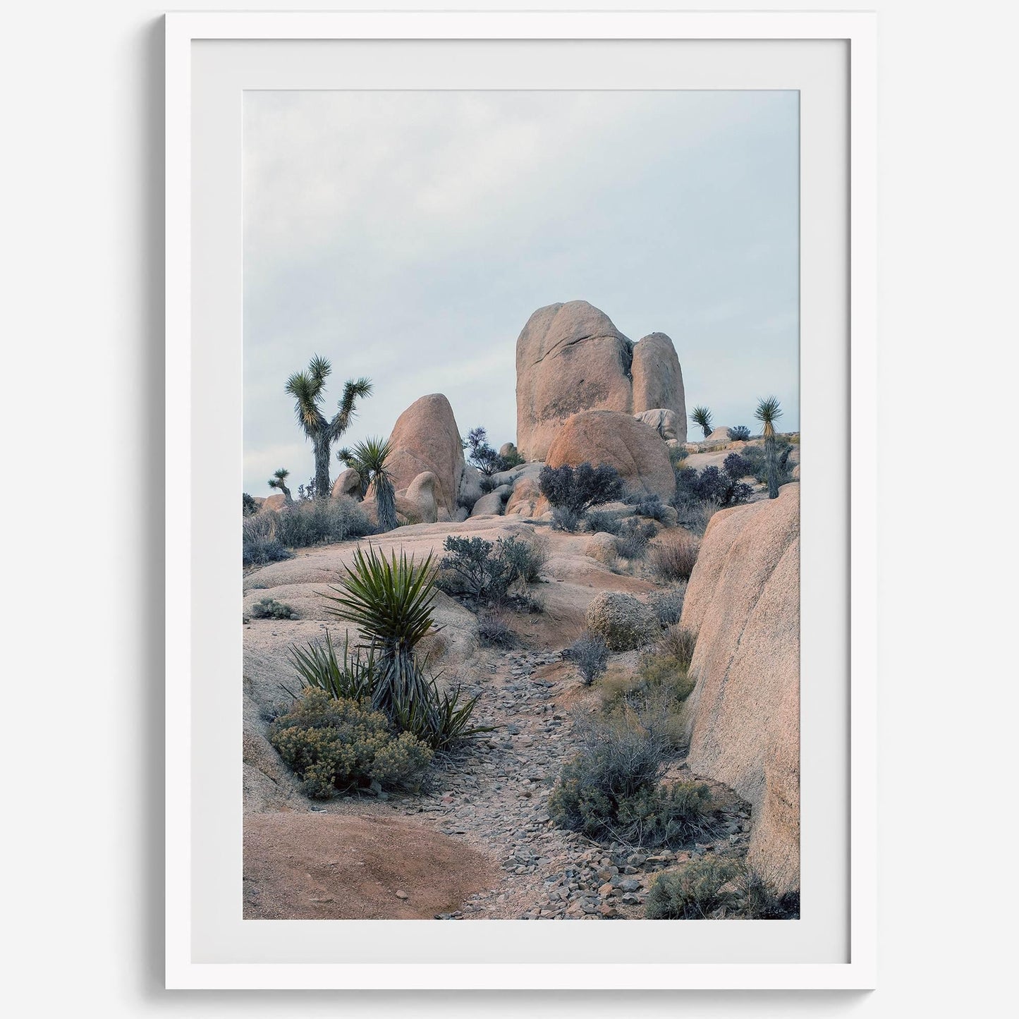 California desert art print featuring unique rock formations and desert plants in a stunning landscape.
