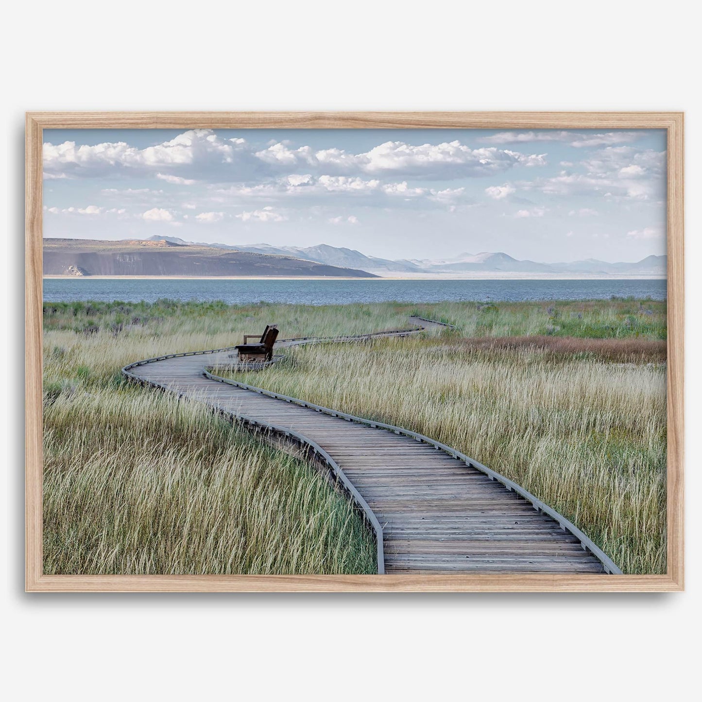 Tranquility Path