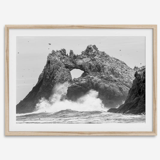 Coastal Drama