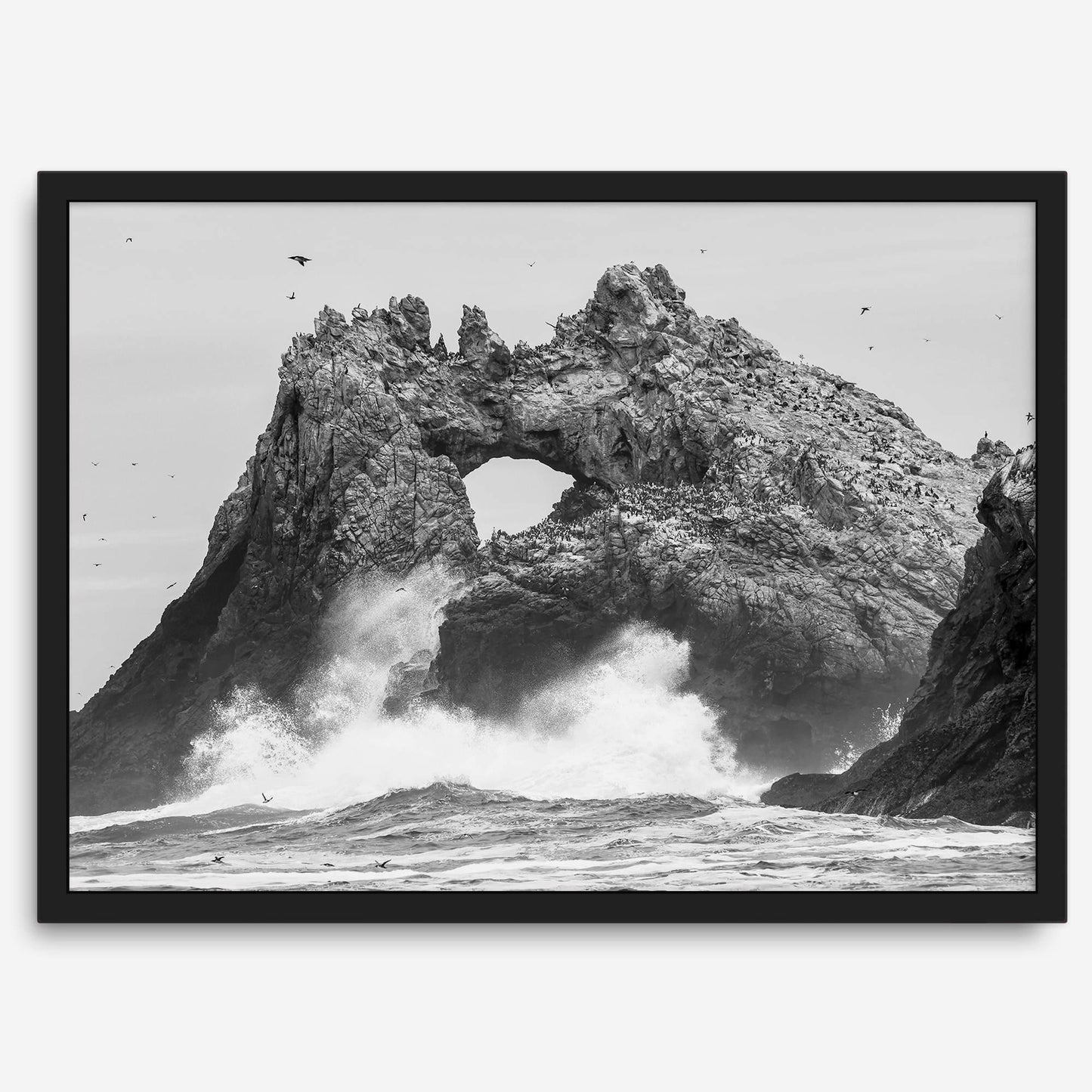 Coastal Drama