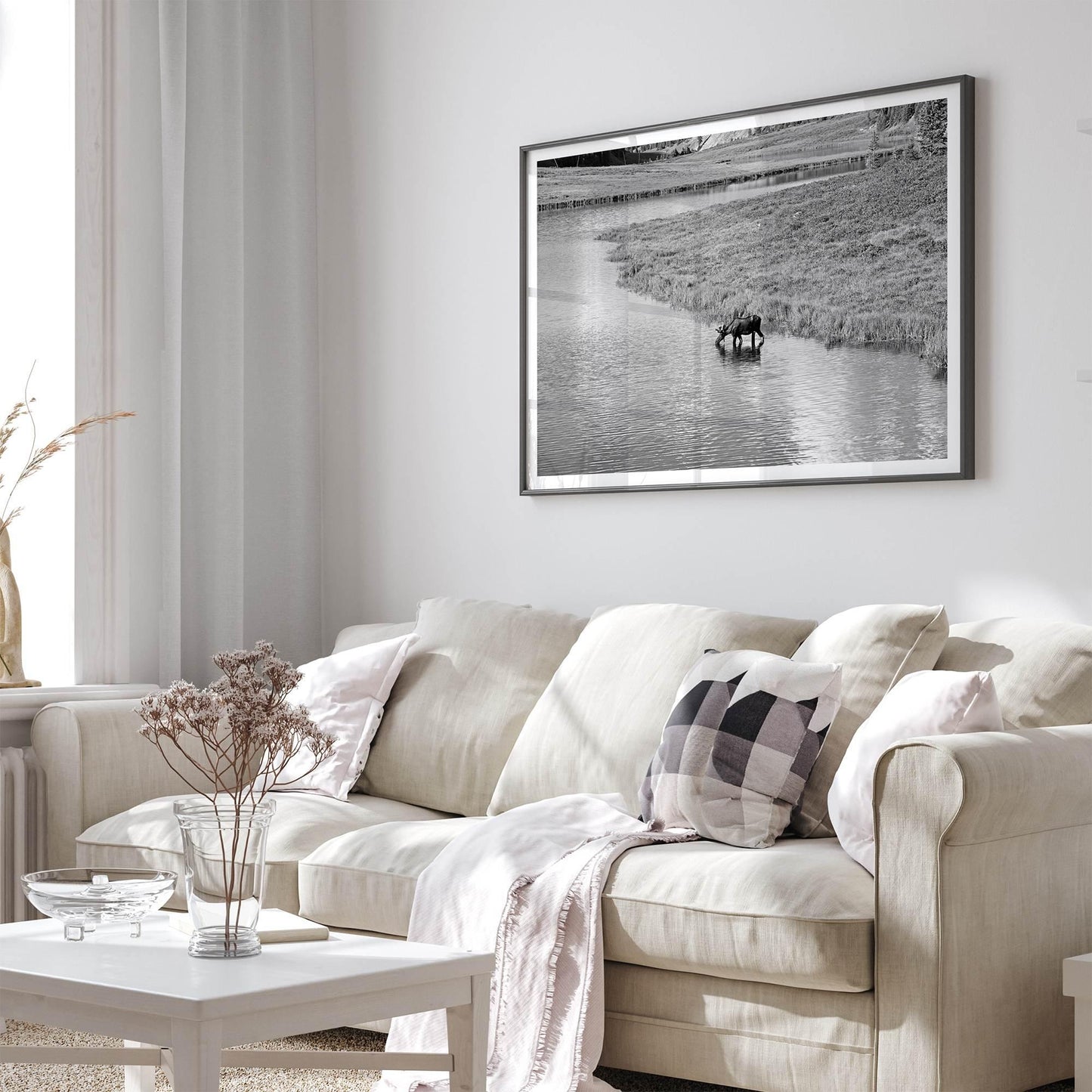 Moose Wall Art featuring the Mighty Moose drinking from a stream in Rocky Mountain National Park, enhancing living room decor.