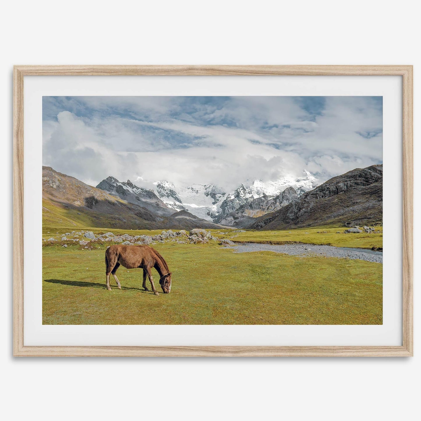 Mountain Horse