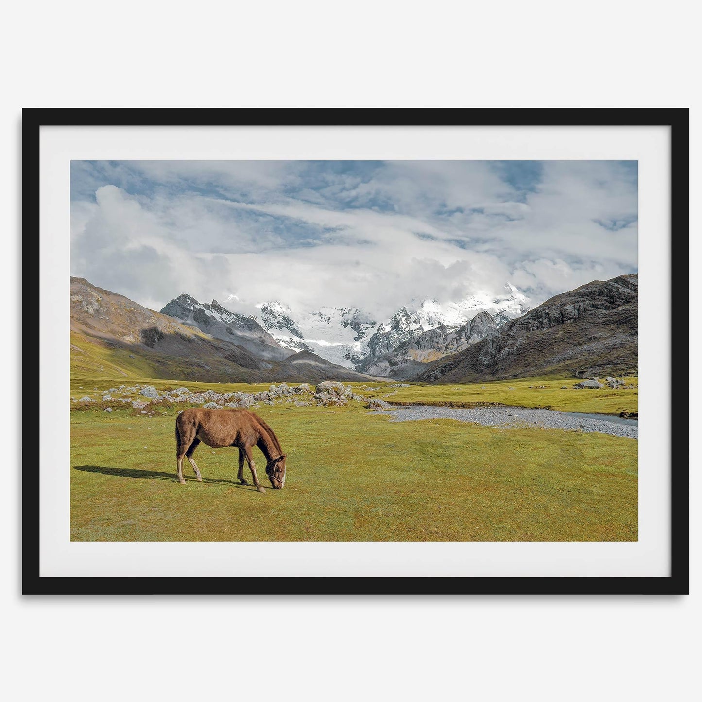 Mountain Horse