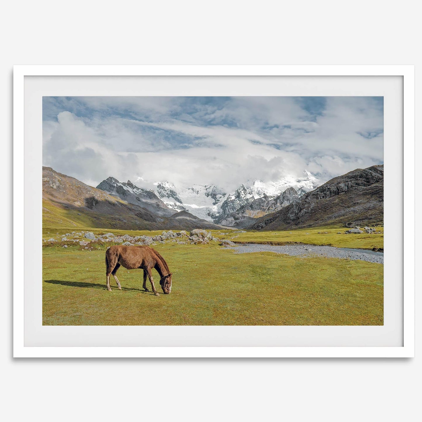 Mountain Horse