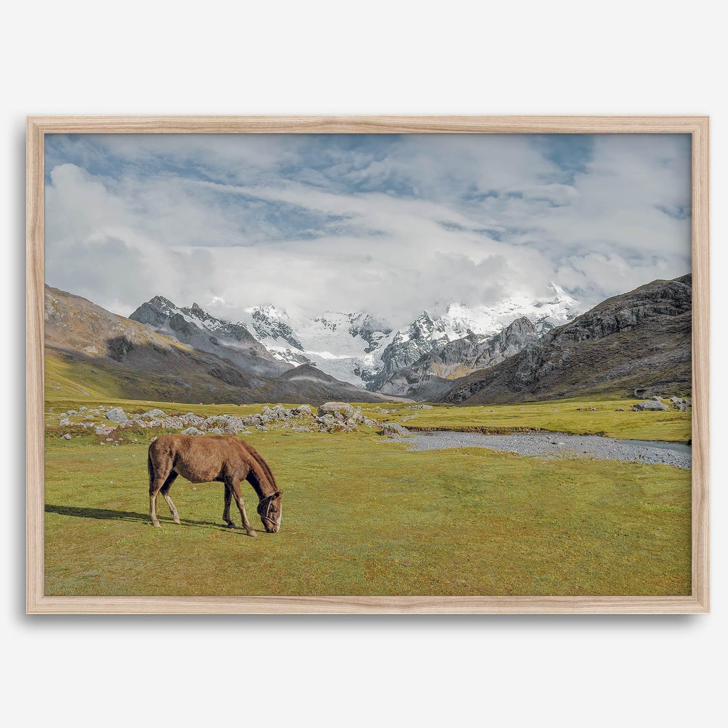 Mountain Horse