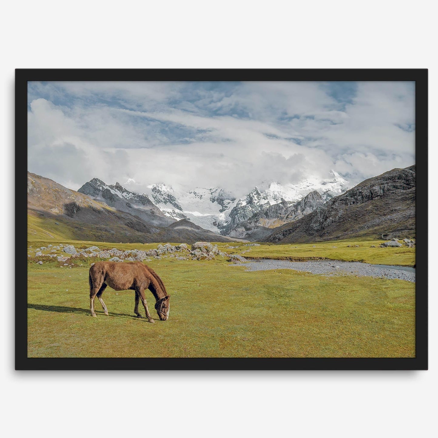 Mountain Horse
