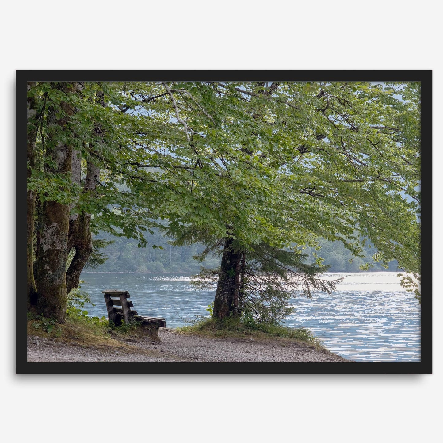 Shoreline Solitude: serene lake print featuring a quiet bench under lush green trees by shimmering water, evoking tranquil beauty.