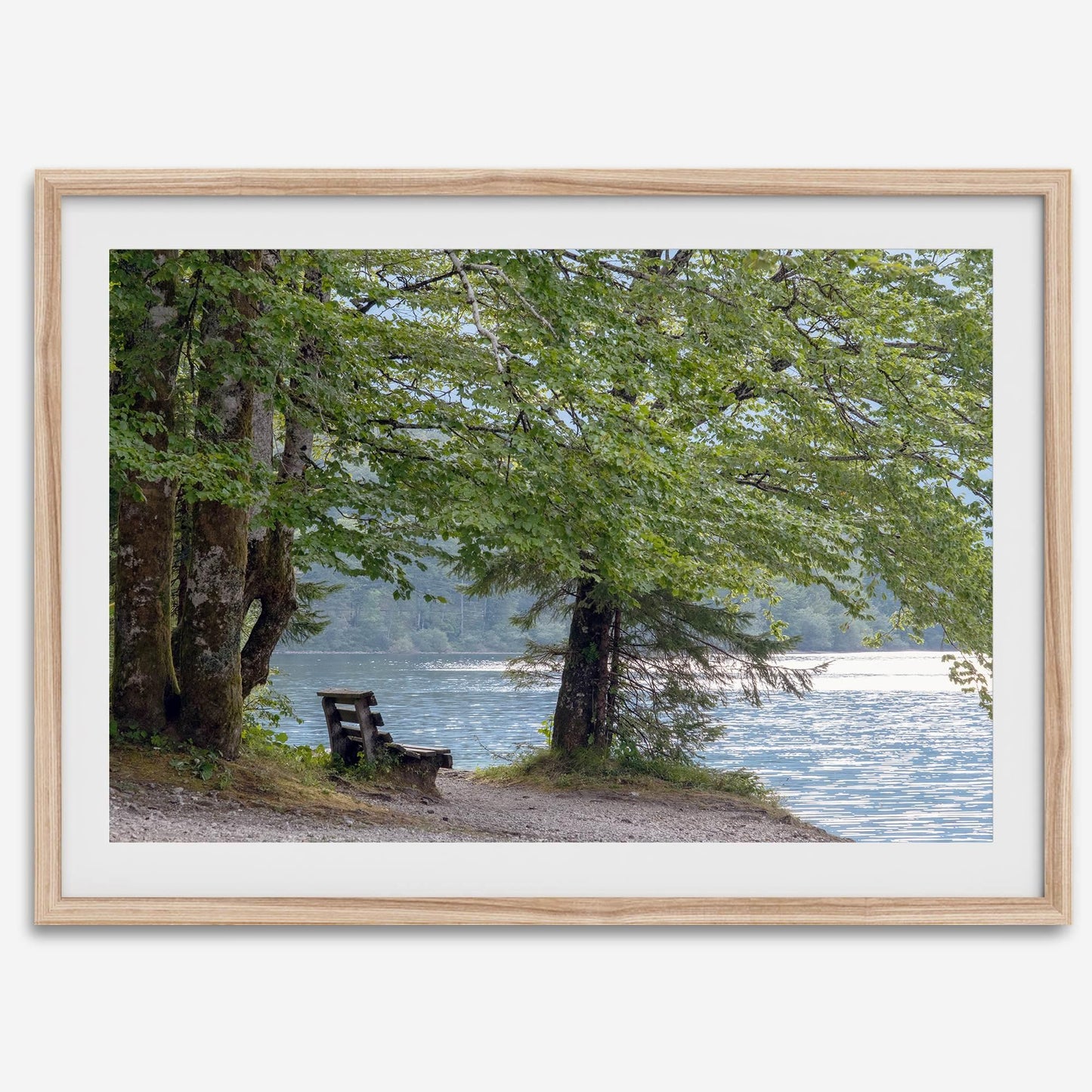 Shoreline Solitude serene lake print showing a quiet bench under leafy trees by shimmering water, offering tranquil beauty.