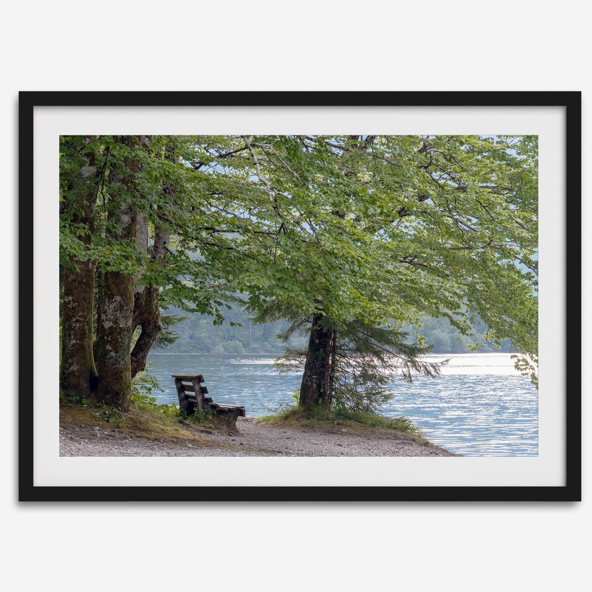 serene lake print showing a peaceful bench under leafy trees beside shimmering water, perfect for tranquil beauty