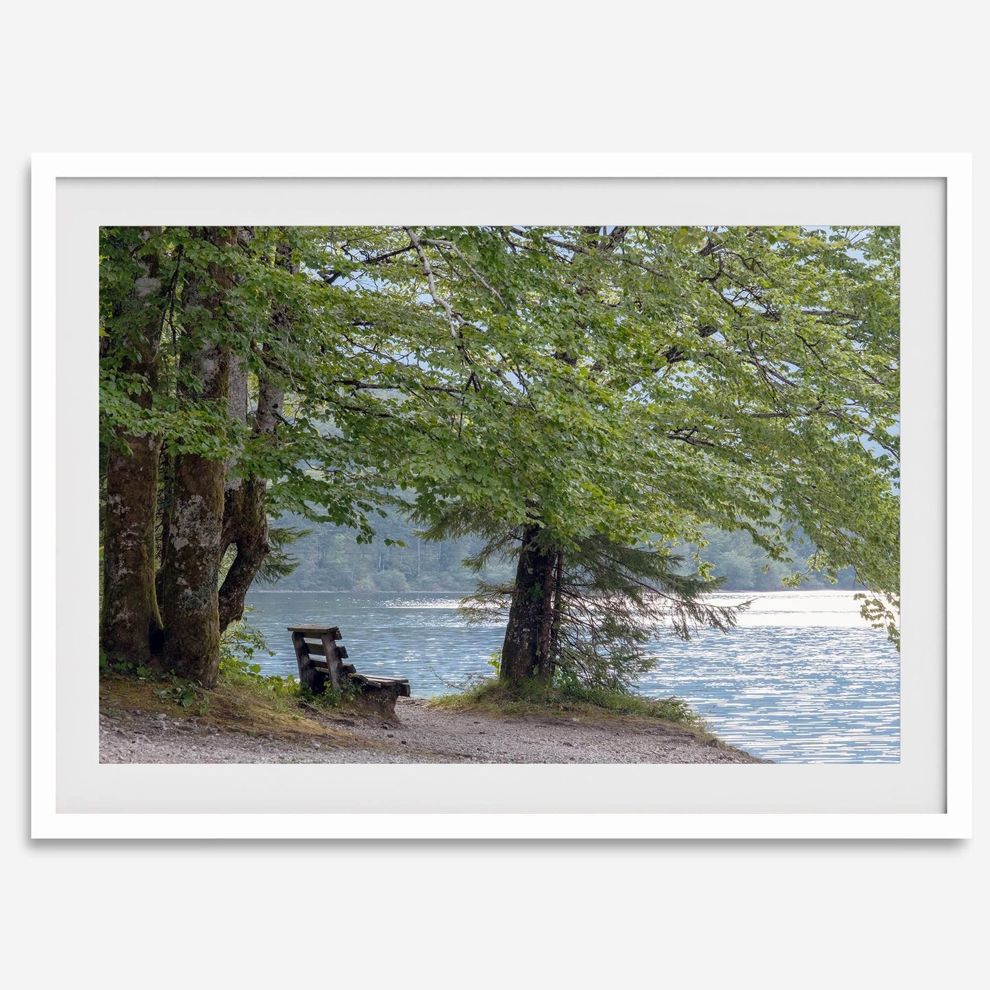 Shoreline Solitude serene lake print: peaceful bench under leafy trees by shimmering water for tranquil beauty.