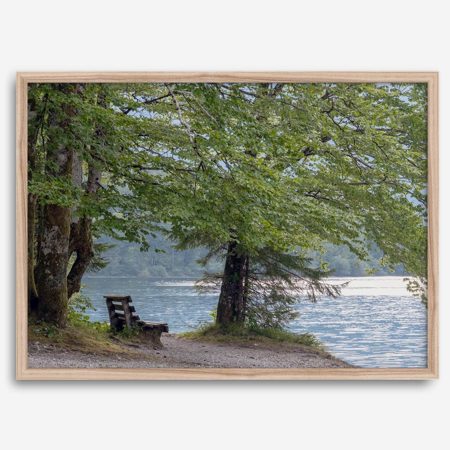 Shoreline Solitude: serene lake print featuring a quiet bench under lush green trees by shimmering water, evoking tranquil beauty.