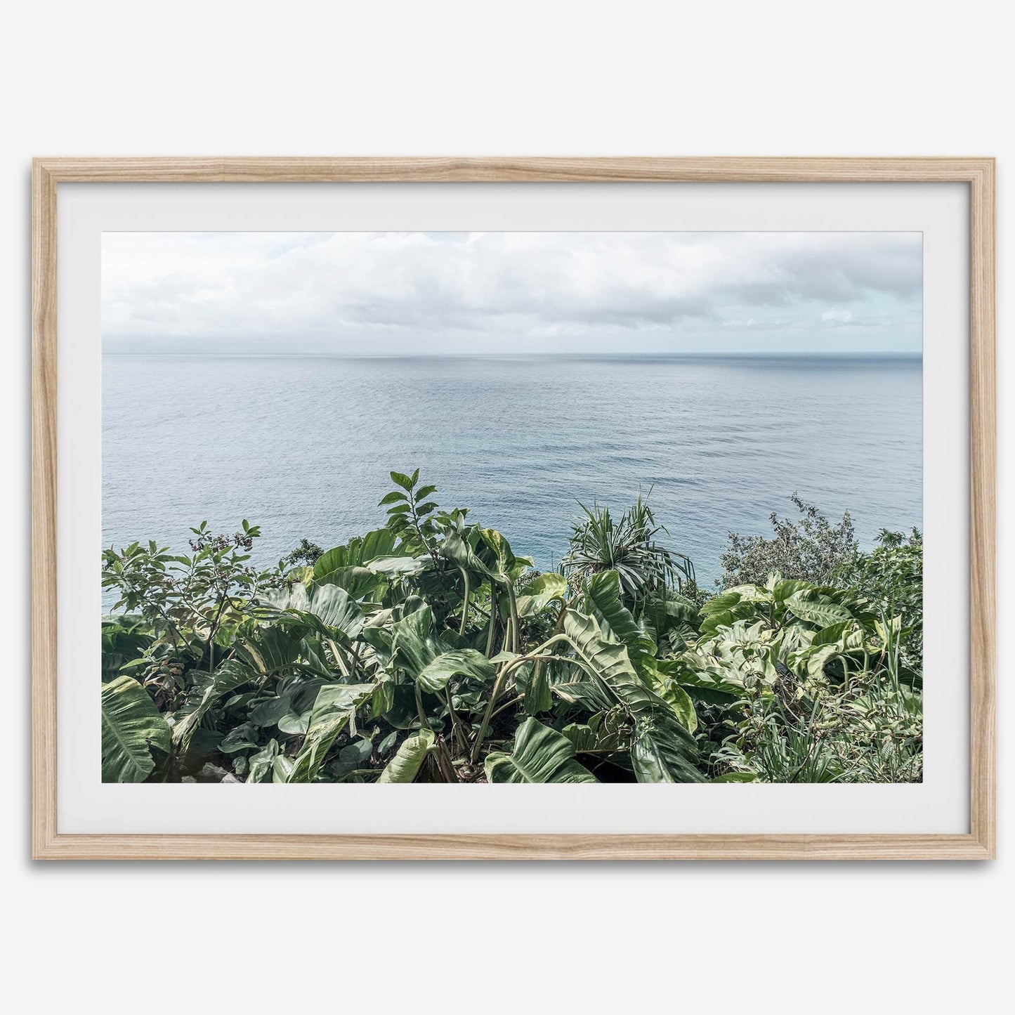 Tropical Ocean