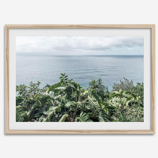 Tropical Ocean