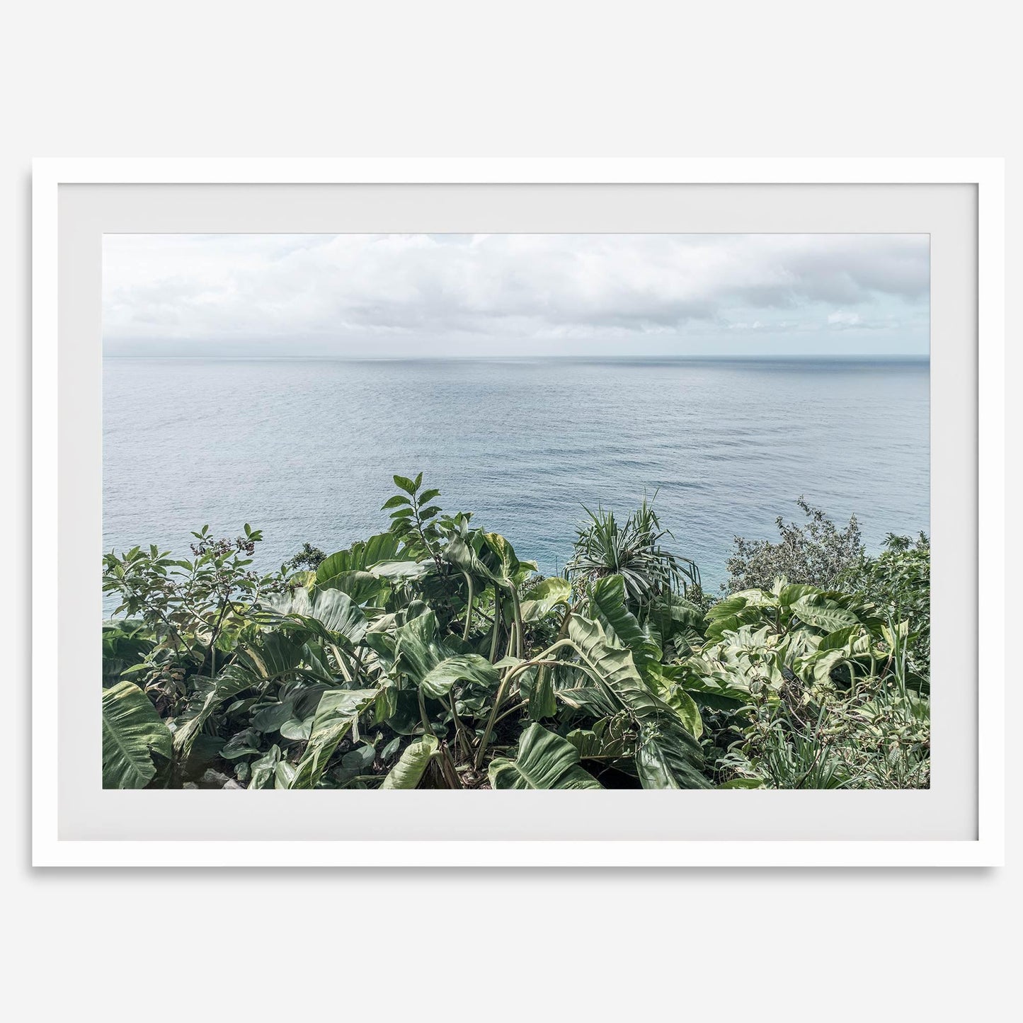 Tropical Ocean