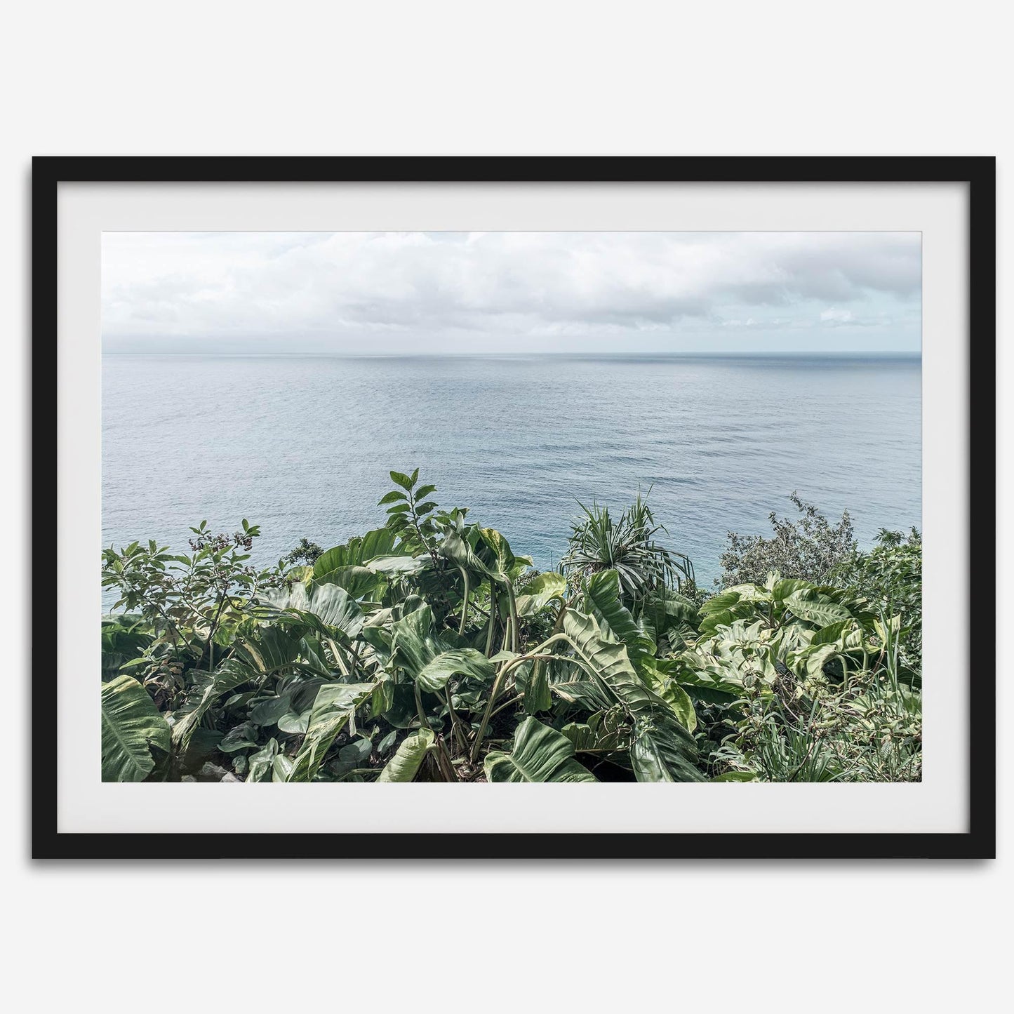 Tropical Ocean