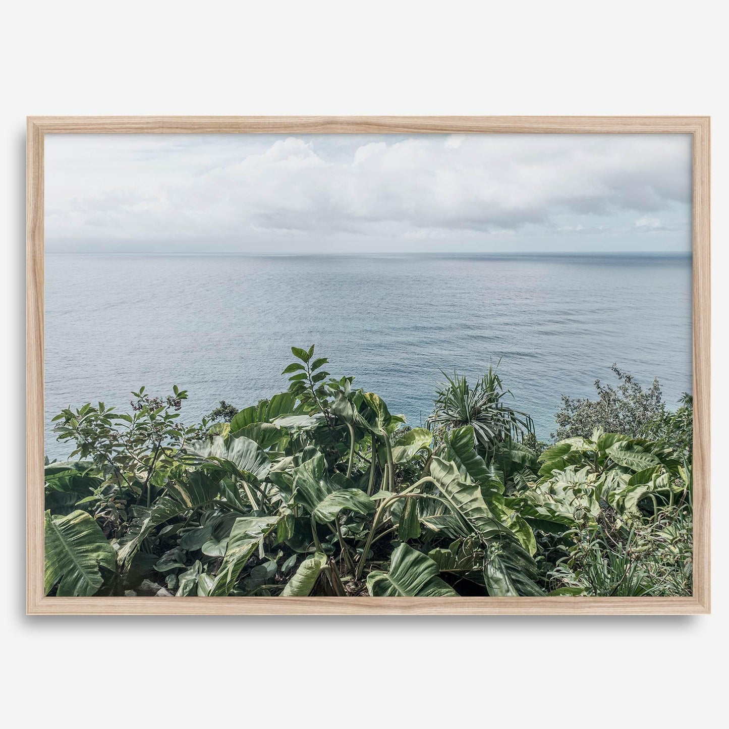 Tropical Ocean