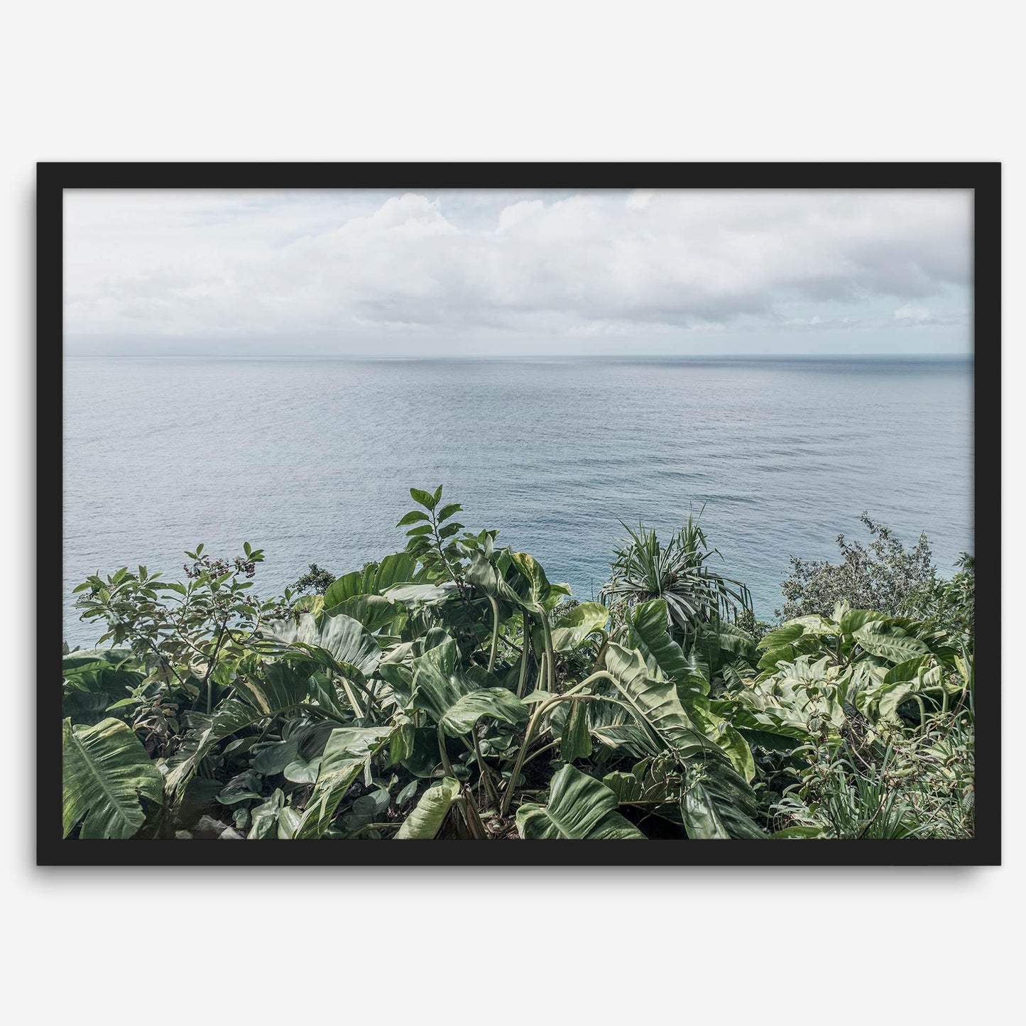 Tropical Ocean