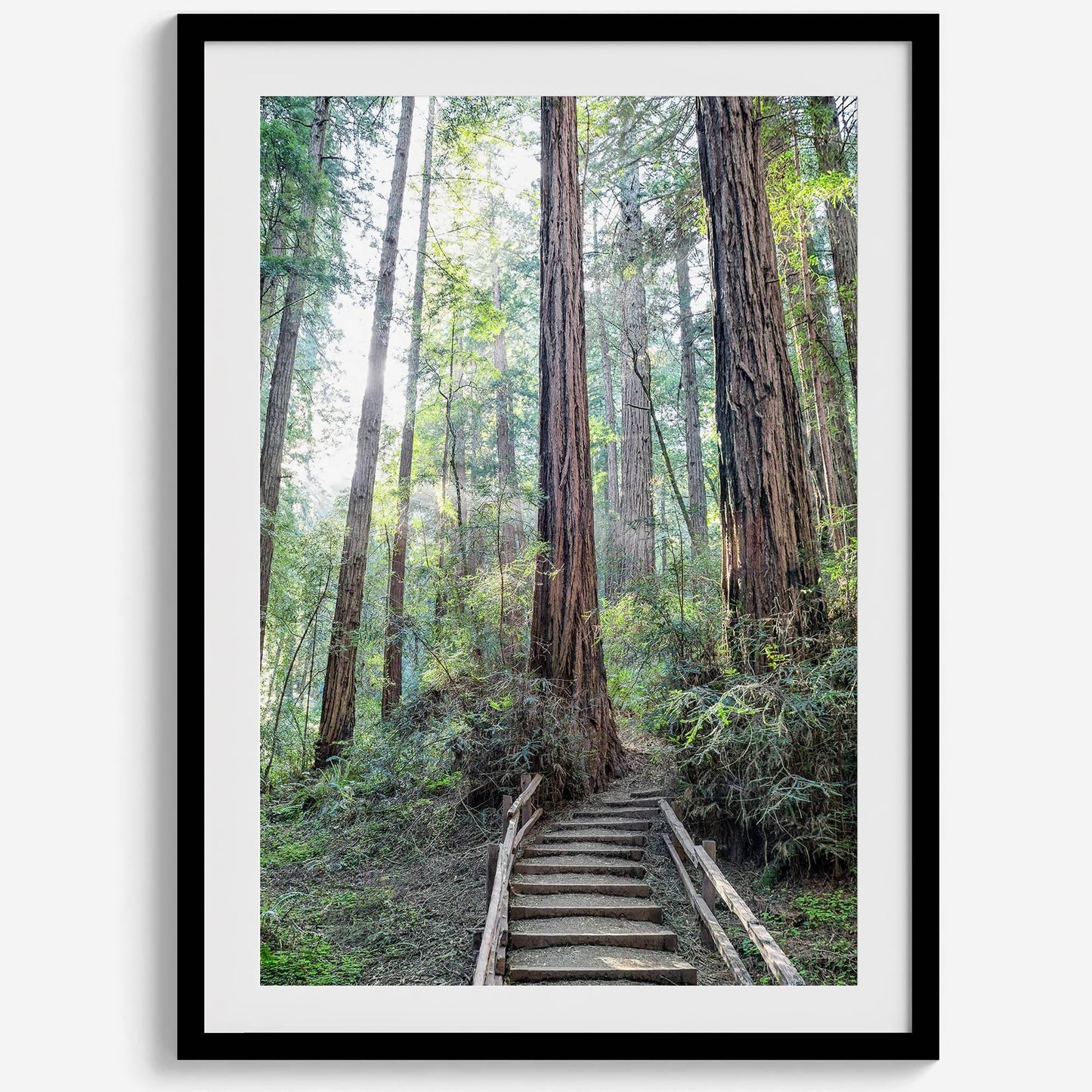 Woodland Steps