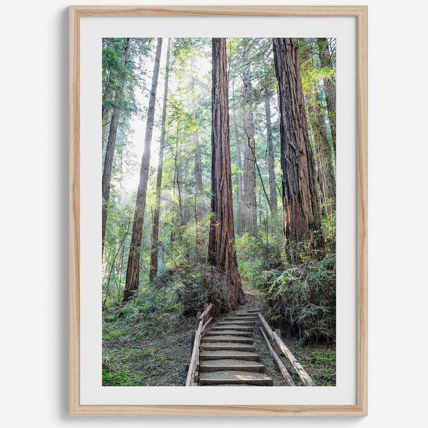 Woodland Steps