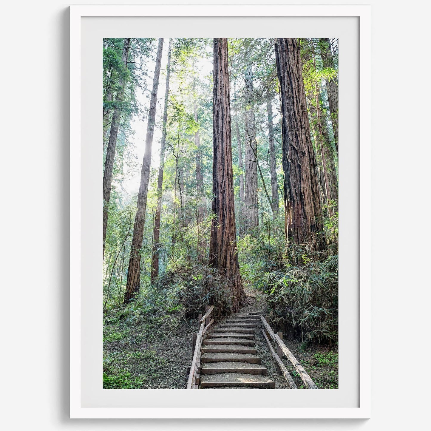 Woodland Steps