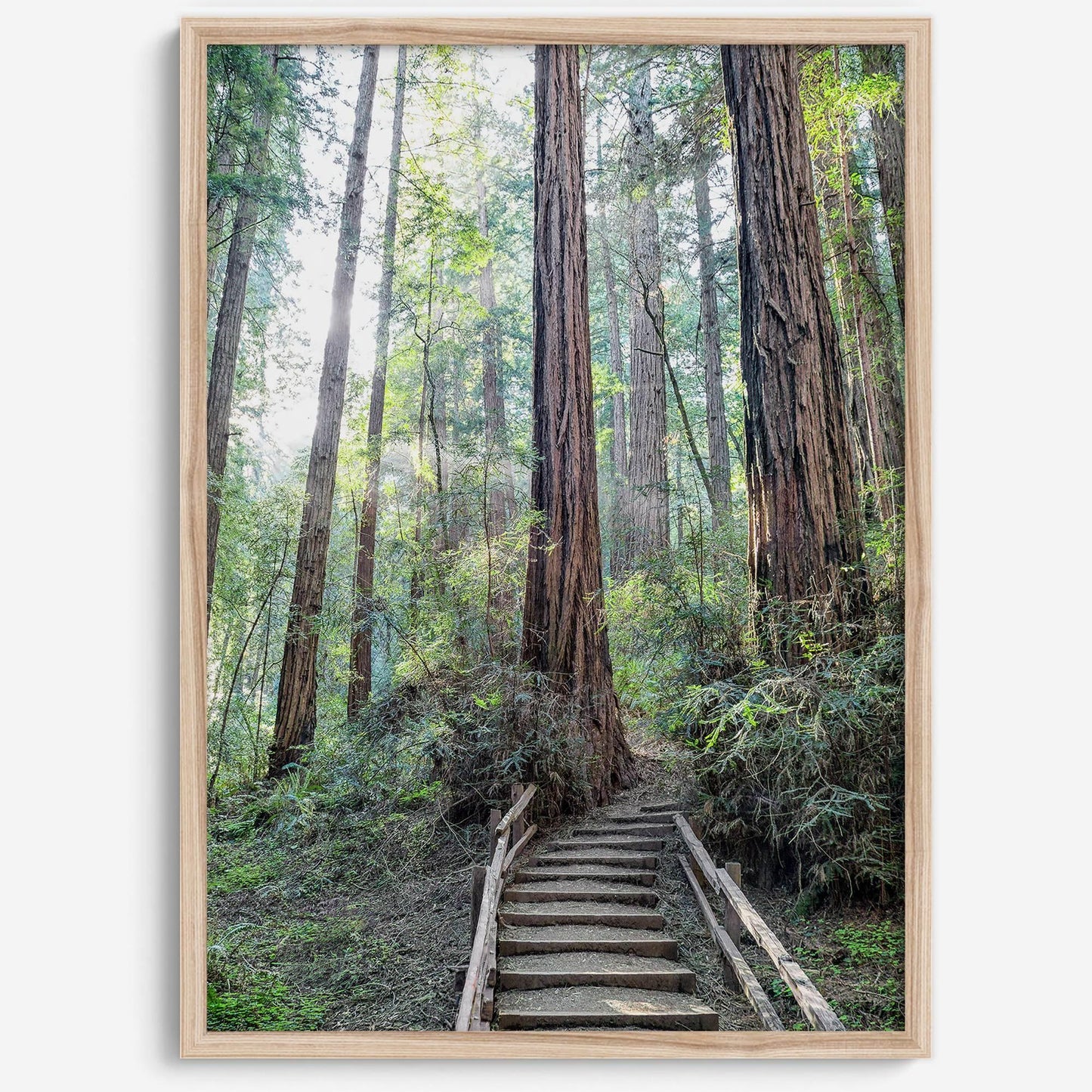 Woodland Steps