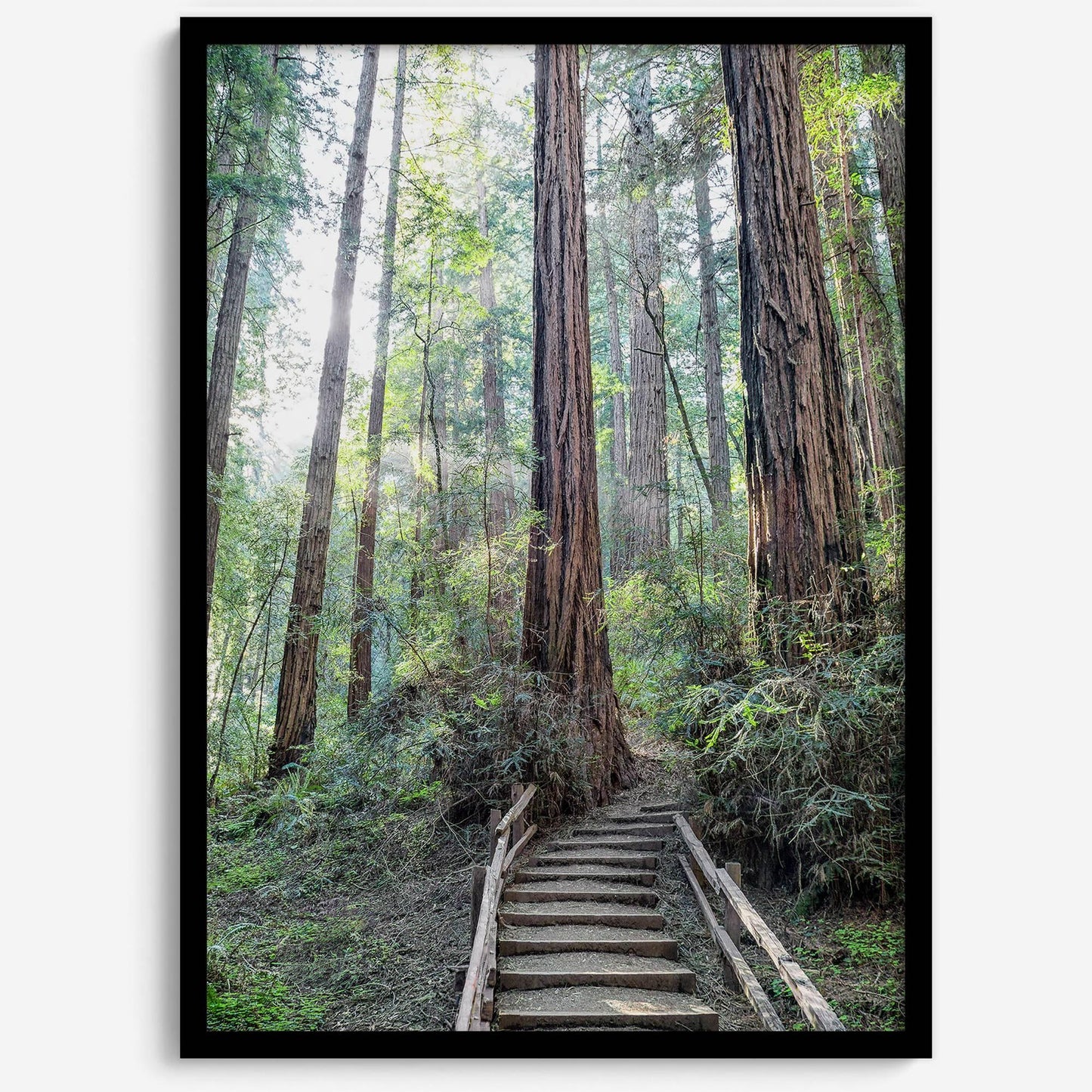 Woodland Steps