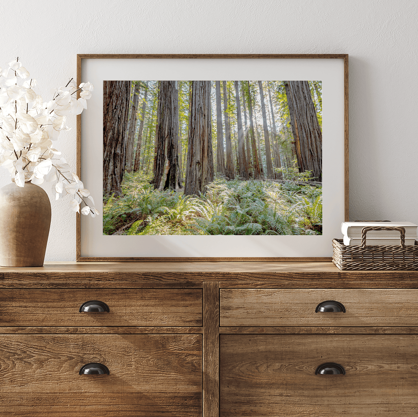 Lush Forest