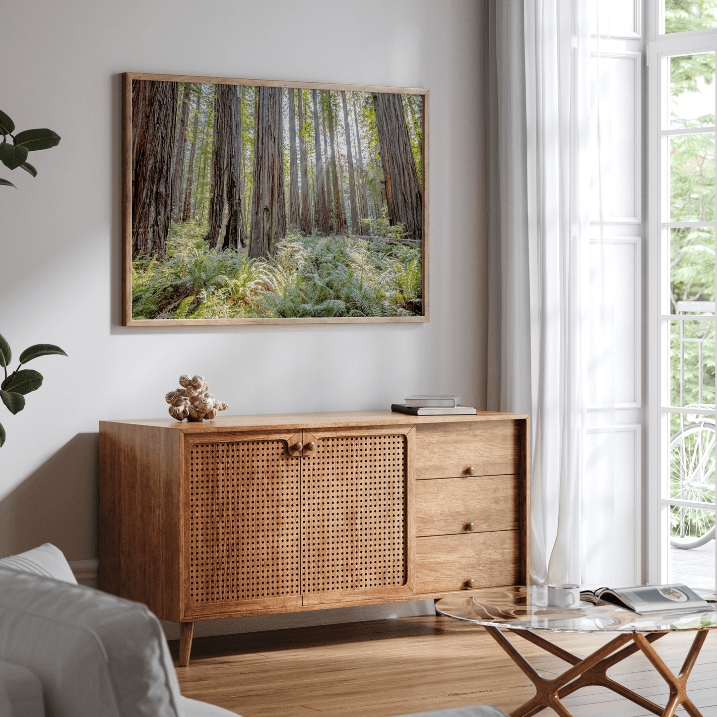 Lush Forest