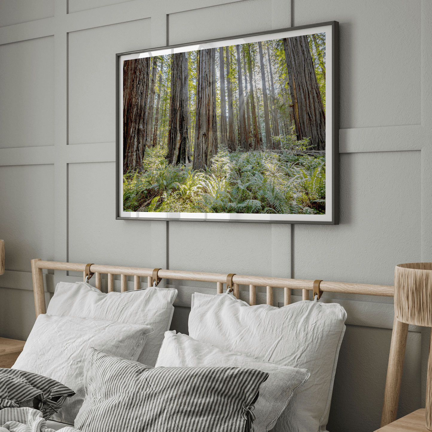 Lush Forest