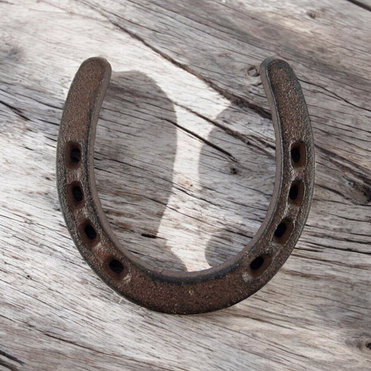 Classic Cast Iron Horseshoe, Lucky Rustic Wall Decor Accent