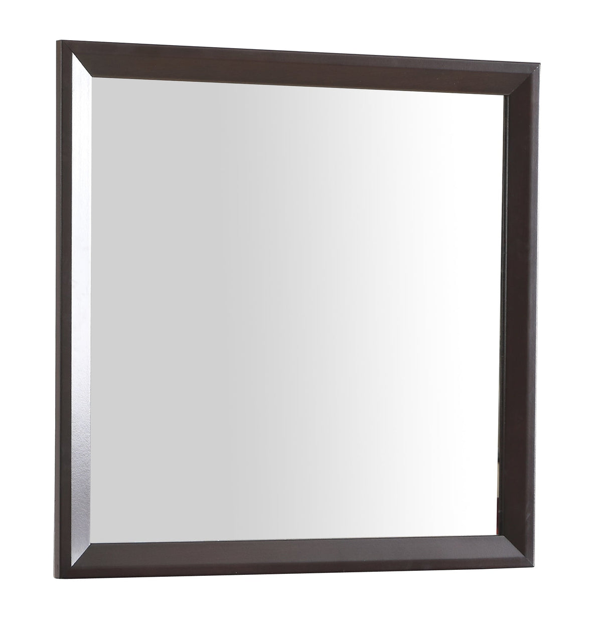 Primo G1300-M Mirror