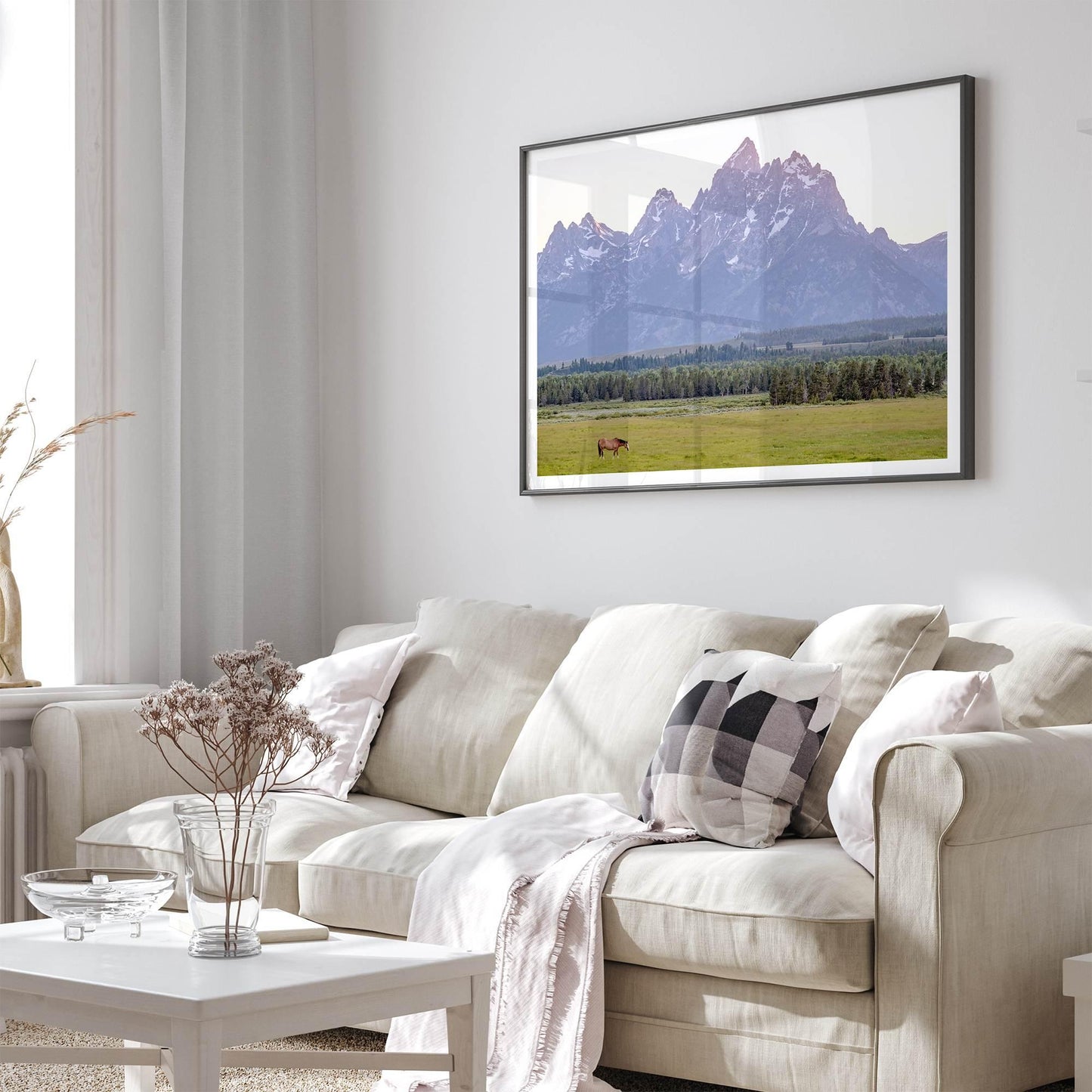 Teton Horse