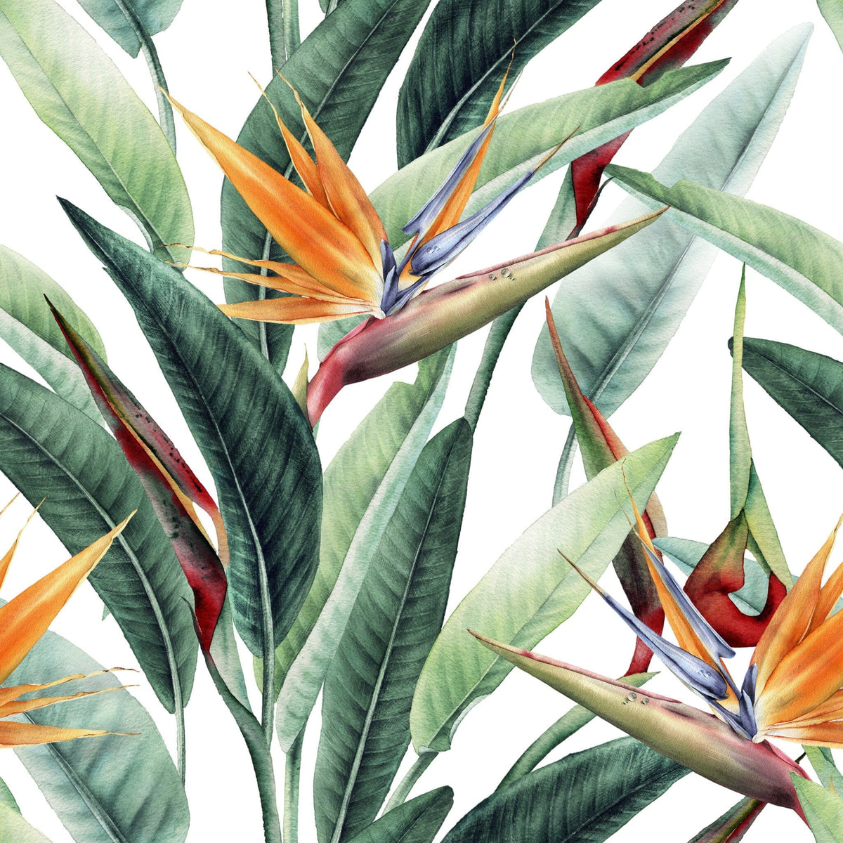 Tropical Leaves & Bird of Paradise Flower Wallpaper