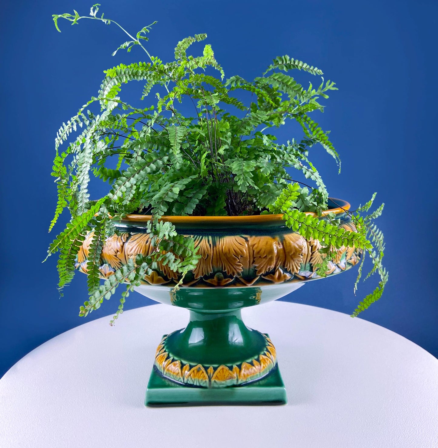 Decorative urn with a lush green fern against a blue background
