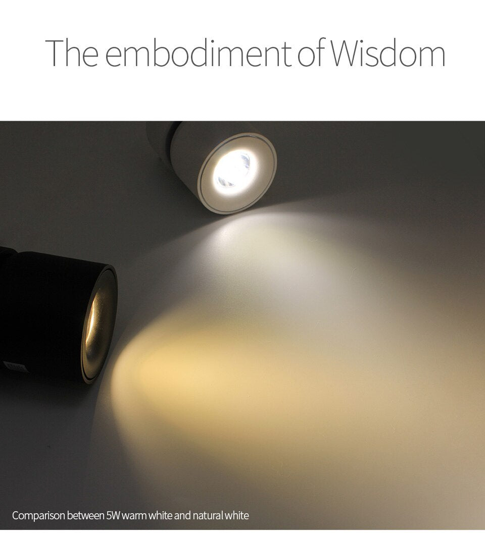 Lily's LED Ceiling Light Surface Mounted with 360° Round Curve Rotation