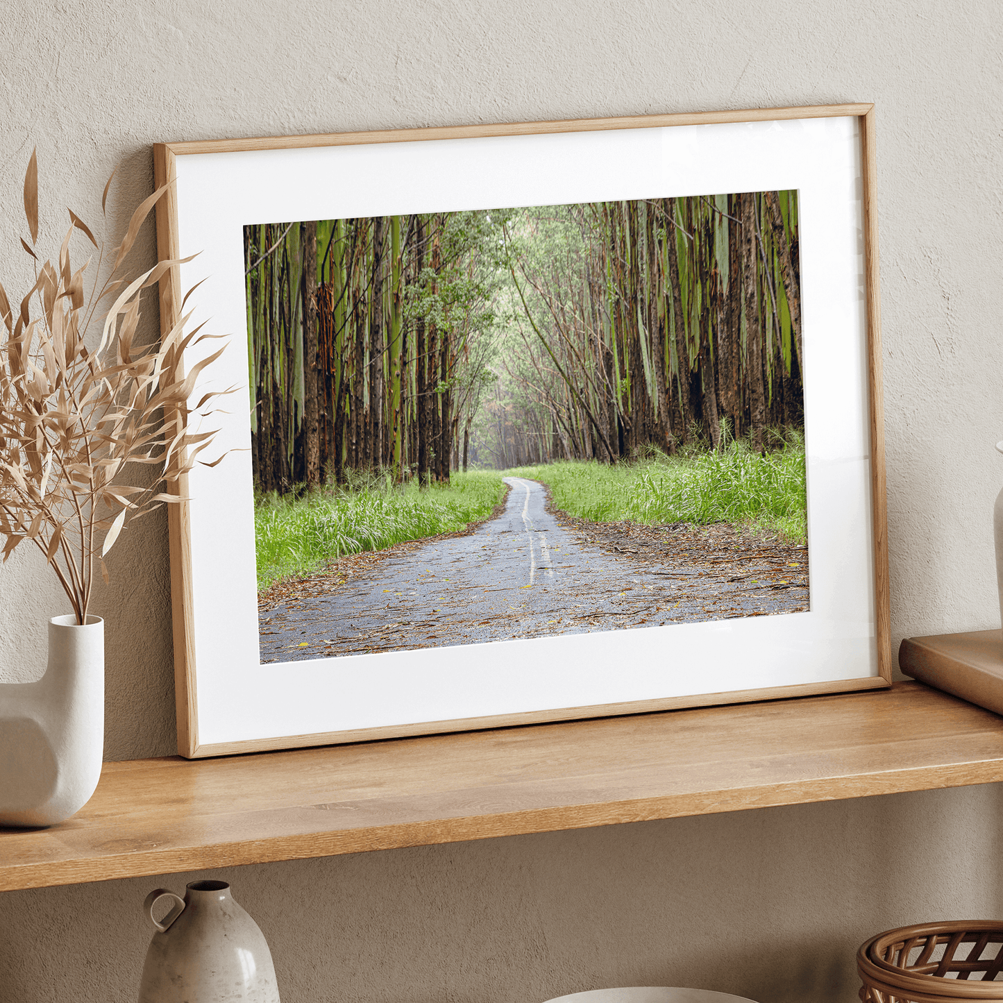Tropical Tree Tunnel