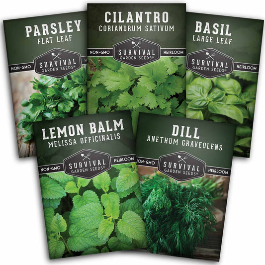 Herb Seeds Variety Pack – 5 Essential Culinary Herbs for Indoor or Outdoor Growing (Basil, Cilantro, Dill, Parsley & Lemon Balm) – Heirloom Non-GMO Garden Starter Kit