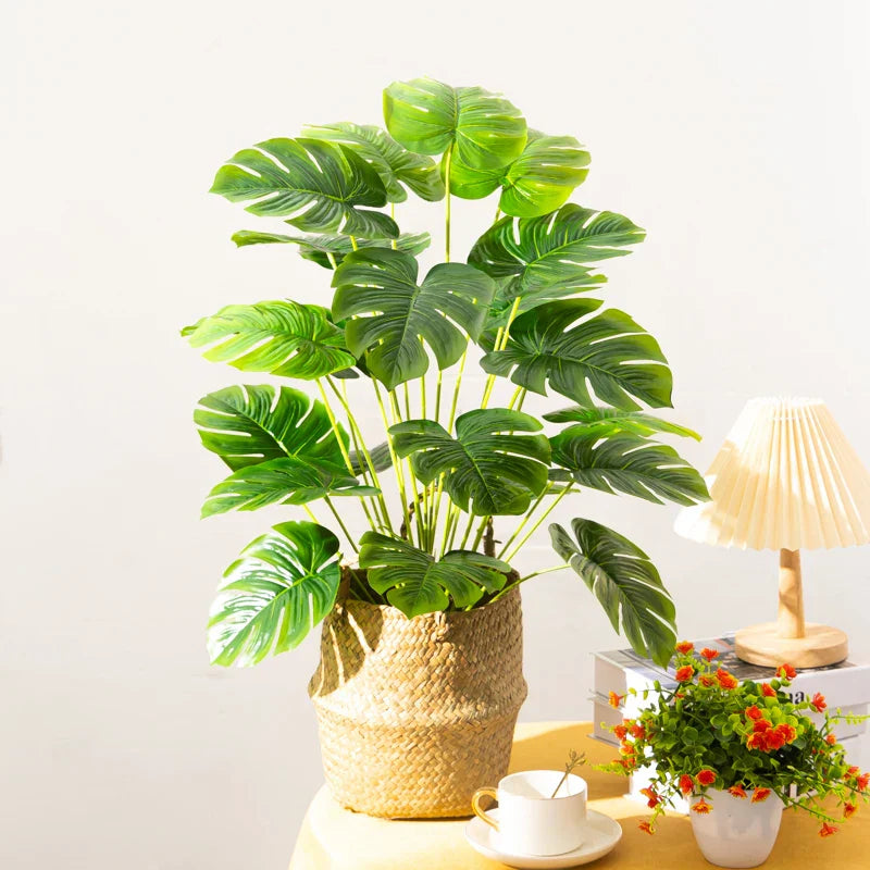 Dlight Decor Monstera Palm Plant for Home and Outdoor Styling