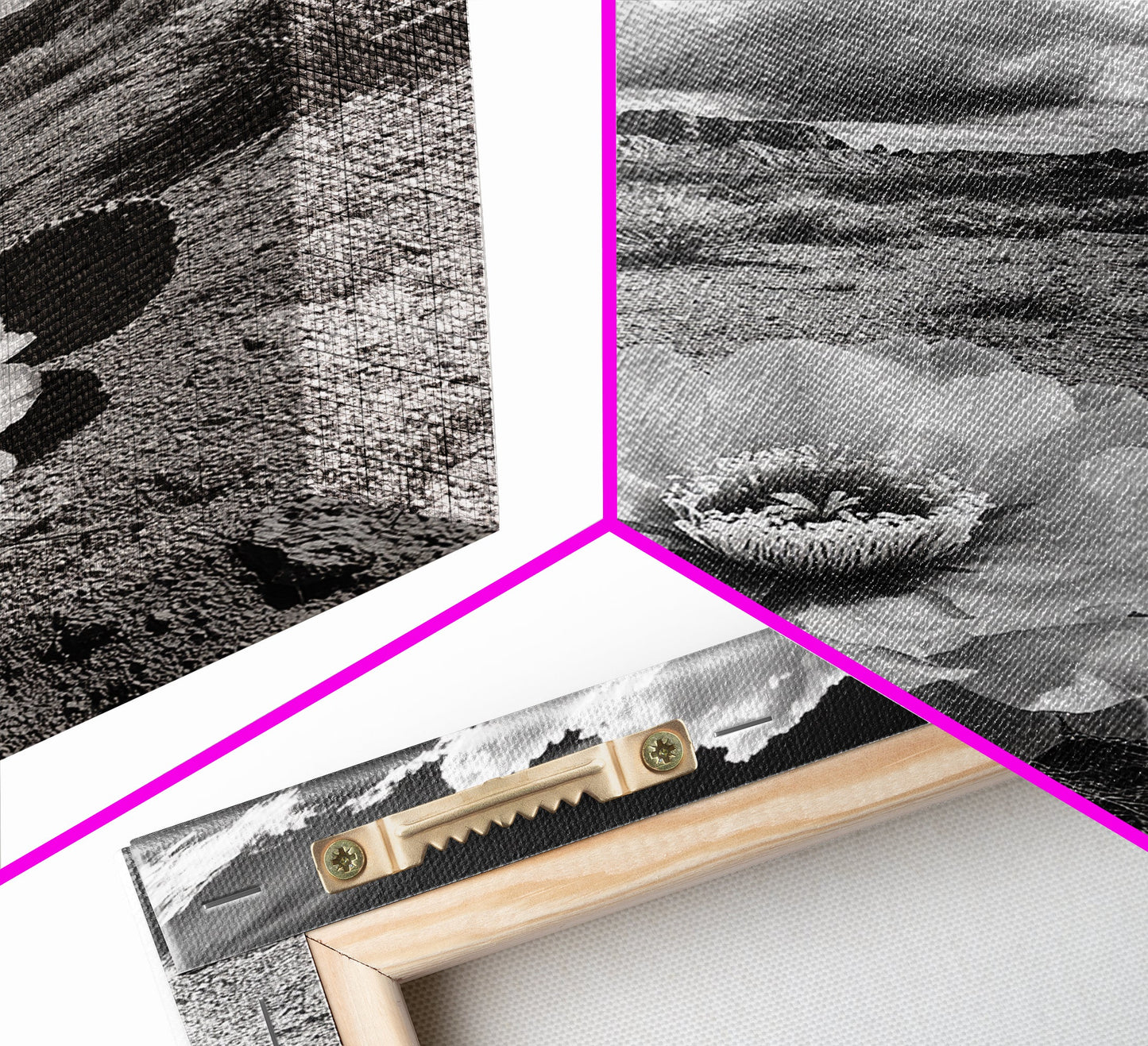 Desert Bloom, Cactus Flower, Bold Nature, Framed Canvas Print, Boho Wall Art, Southwestern Home Decor, Dramatic Desert Photography