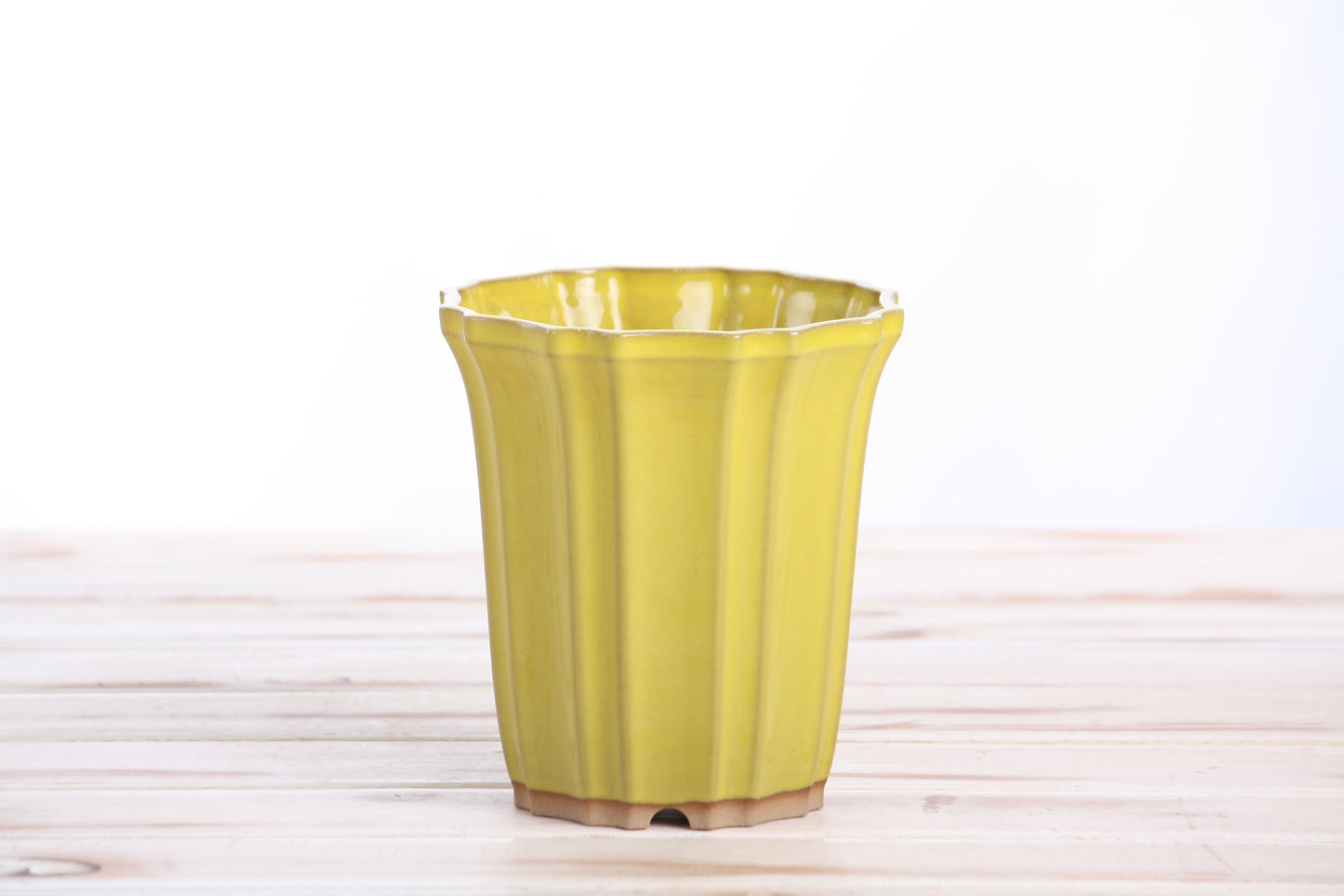Willow Bonsai Ceramics Flower Design Cascade Bonsai Pot 4.5 Inch – Elegant Tall Ceramic Bonsai & Succulent Planter, High‑Fired Frost‑Proof Stoneware with Drainage & Wiring Holes, Handmade in USA (Yellow)