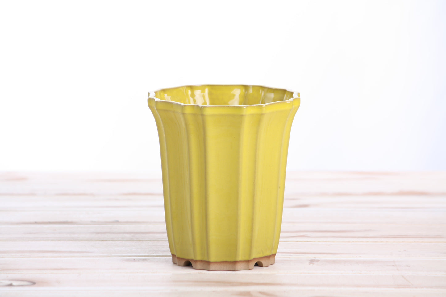 Willow Bonsai Ceramics Flower Design Cascade Bonsai Pot 4.5 Inch – Elegant Tall Ceramic Bonsai & Succulent Planter, High‑Fired Frost‑Proof Stoneware with Drainage & Wiring Holes, Handmade in USA (Yellow)