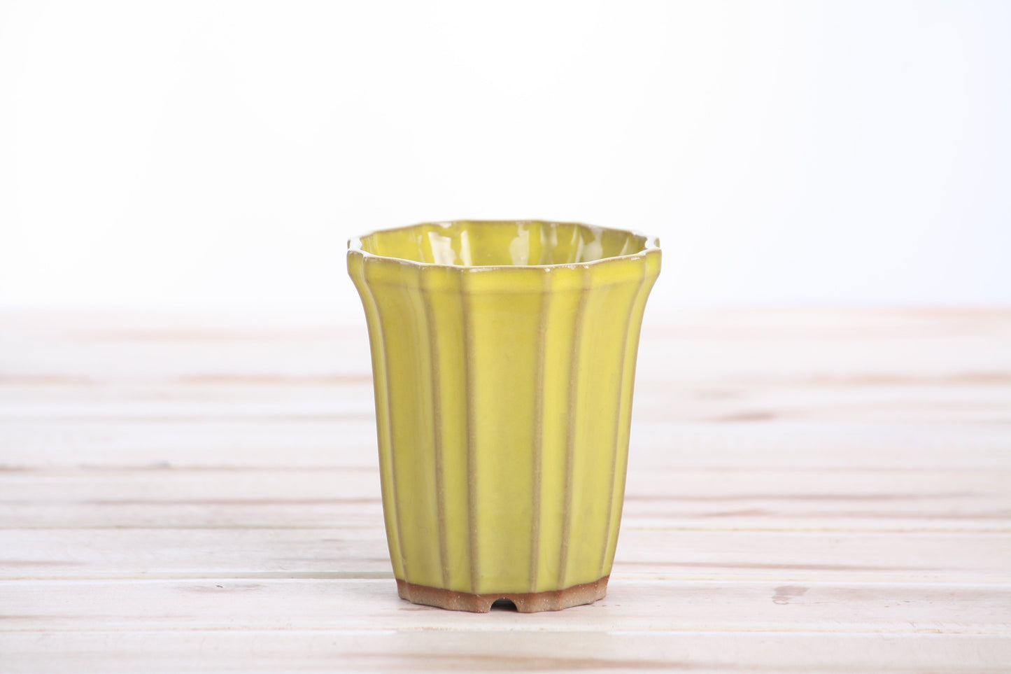 Willow Bonsai Ceramics Flower Design Cascade Bonsai Pot 3 Inch – Elegant Tall Ceramic Bonsai & Succulent Planter, High‑Fired Frost‑Proof Stoneware with Drainage & Wiring Holes, Handmade in USA (Yellow)