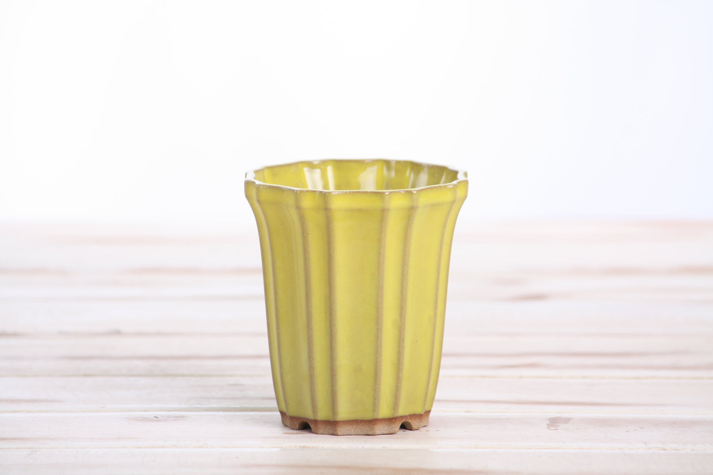Willow Bonsai Ceramics Flower Design Cascade Bonsai Pot 3 Inch – Elegant Tall Ceramic Bonsai & Succulent Planter, High‑Fired Frost‑Proof Stoneware with Drainage & Wiring Holes, Handmade in USA (Yellow)